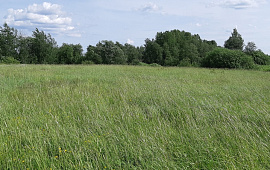 Старая Мельница